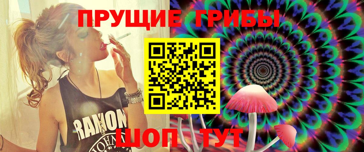 Галлюциногенные грибы MAGIC MUSHROOMS Сокол