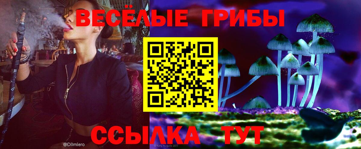 как найти закладки  Вход с VPN  Псилоцибиновые грибы мицелий  Сокол  Псилоцибиновые грибы Psilocybe 